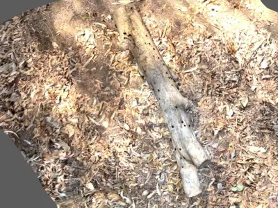 A beautiful tree log surrounded by dried leaves 3D model