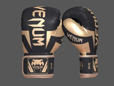 Venum Elite Boxing Punch Gloves Sparring 8K 3D model