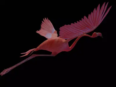 flamingo flying Free 3D model