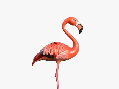 Flamingo Low-poly 3D model