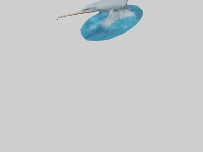 Narwhal breaching model Low-poly 3D model