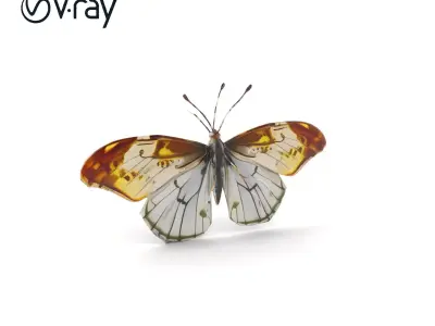 Butterfly Wings Spread Model Pack Low-poly 3D model
