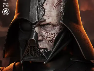  STAR WARS Darth Vader Batlle Damage Portrait Bust  3D print model