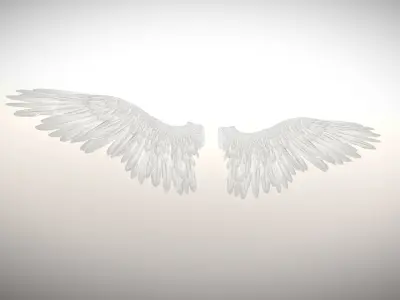 Angel or bird wings 3D model