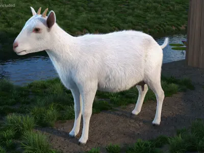 Rigged Farm Animals Big Collection 3 for Cinema 4D 3D model