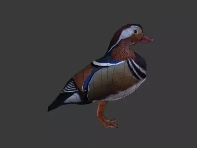 Mandarin duck 3d Low-poly 3D model