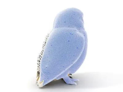 Snowy Owl D Model Pack Low-poly 3D model