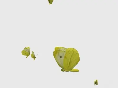 Flock of Butterflies 3D model