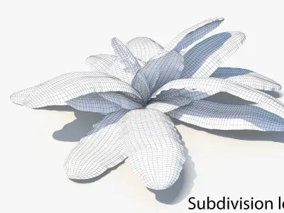 Ferns 01-07 3D model