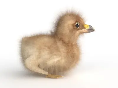  3D Baby Eagle 3D model