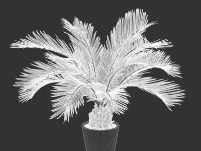  Sago Palm Potted Plant Model 