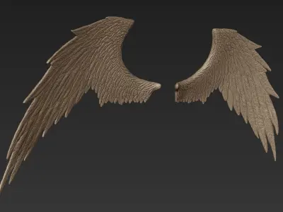 Wings 3 Zbrush Sculpt 3D model