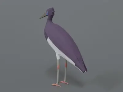Low Poly Cartoon Abdim Stork Low-poly 3D model