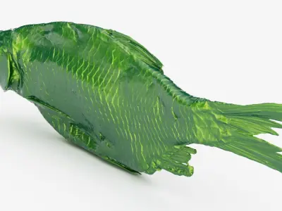 Dried roach fish 3d scan 3D model