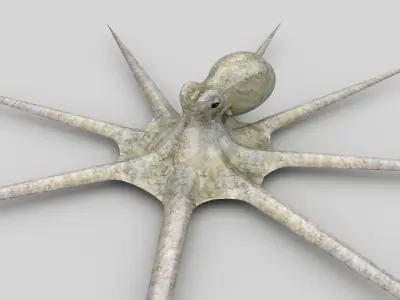 Octopus Devilfish Low-poly 3D model