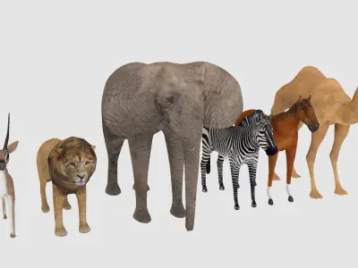animals Low-poly 3D model