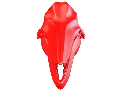 Printable Dolphin Skull 3D model