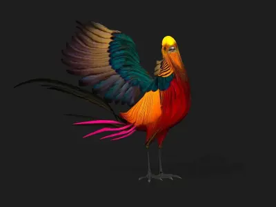 Pheasant A4 3D model