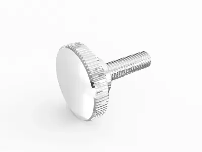 Screw 27 3D model