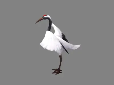 Cartoon White Crane - Red crowned Crane Low-poly 3D model