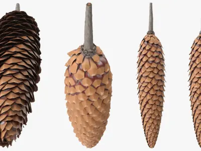 Opened Pine Seed Cone 3D model