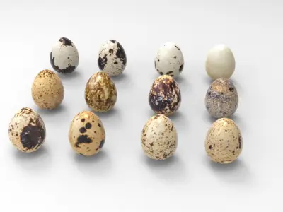  Bird Eggs Free low-poly 3D model