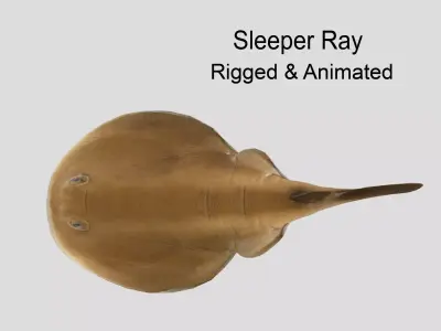 Sleeper Ray Realistic Animated Low-poly 3D model