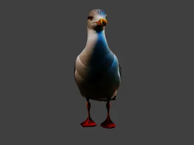 Seagull Animal Low-poly 3D model