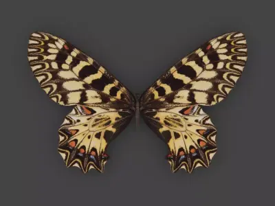 BFLY-001 Butterfly Low-poly 3D model