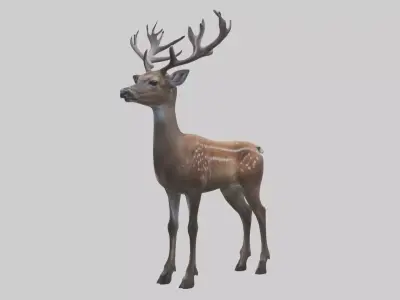 Sika deer Low-poly 3D model