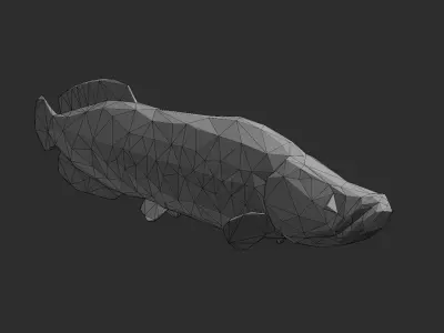 Low Poly Arapaima Low-poly 3D model