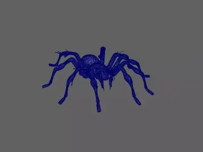 Spider 3D model
