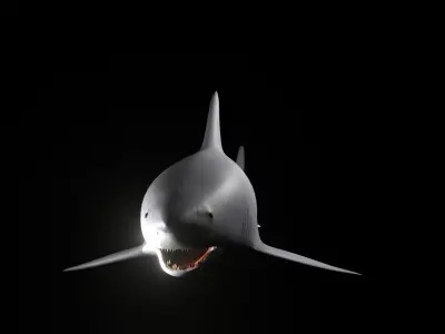 sharky shark Low-poly 3D model