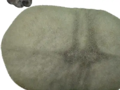 Silkworm With Cocoon 3D model