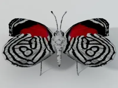 Butterfly 89 Low-poly 3D model