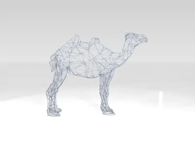 Camel Wireframe 3D model
