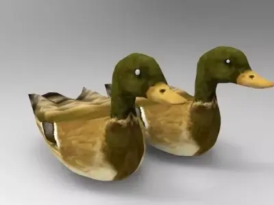 Swimming Ducks Low-poly 3D model