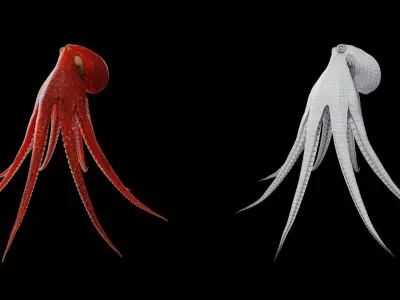 Animated Octopus Low-poly 3D model