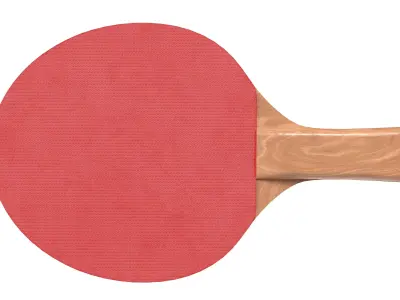 Table Tennis Paddles  Low-poly 3D model