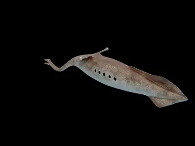 Tully Monster Tullimonstrum Free low-poly 3D model