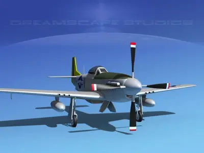 P-51D Mustang Shady Katy 3D model