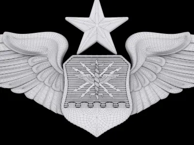 USAF Senior Combat Systems Officer Wings Badge 3D model