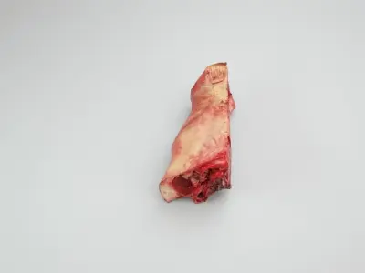 Pig Nose Split on Half Low-poly 3D model