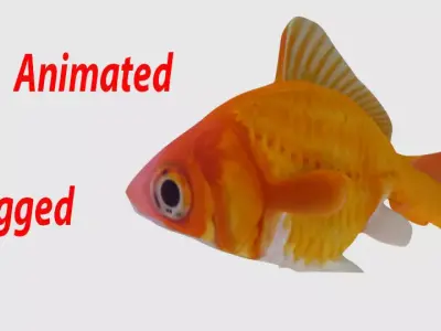 Animated And Rigged Goldfish Low-poly 3D model