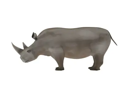 Rhino 3D Model Rigged and Animated Low-poly 3D model