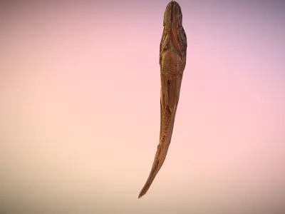 photorealistic scanned dried fish  Low-poly 3D model