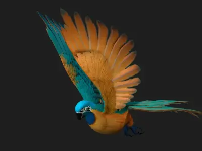 Parrot A1 3D model