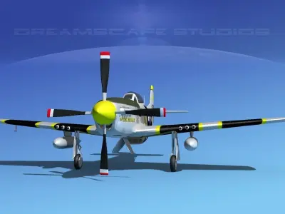 P-51D Mustang The Flying Undertaker 3D model