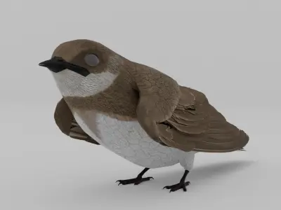 Detailed 3D Model of a Bank Swallow bird Low-poly 3D model