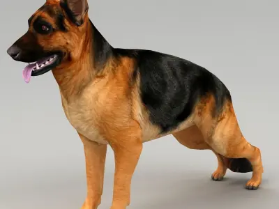 germanshepherd dog GSD  Low-poly 3D model